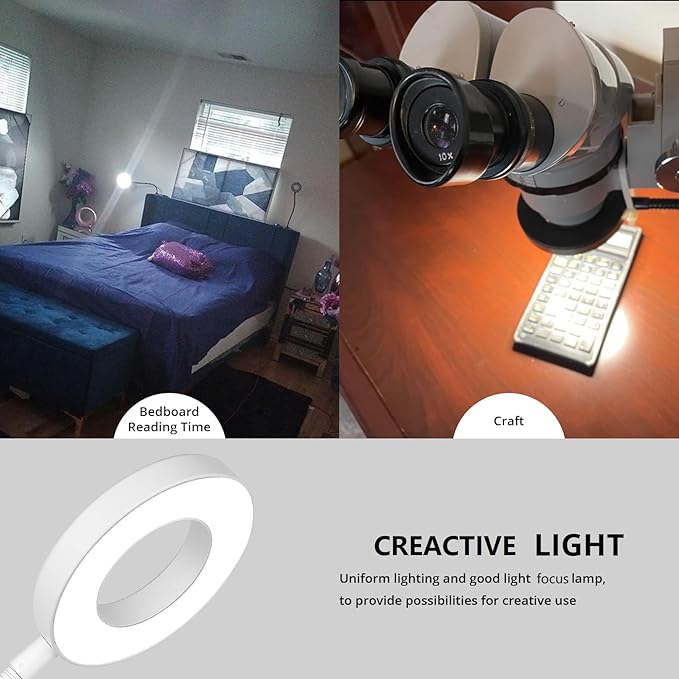 Desk Clip on Lamp for Reading Home Office, with 5V 2A Adapter, 10 Dimmable Brightness 3 Modes, Clamp Reading Light for Bed Headboard, Craft (White)…