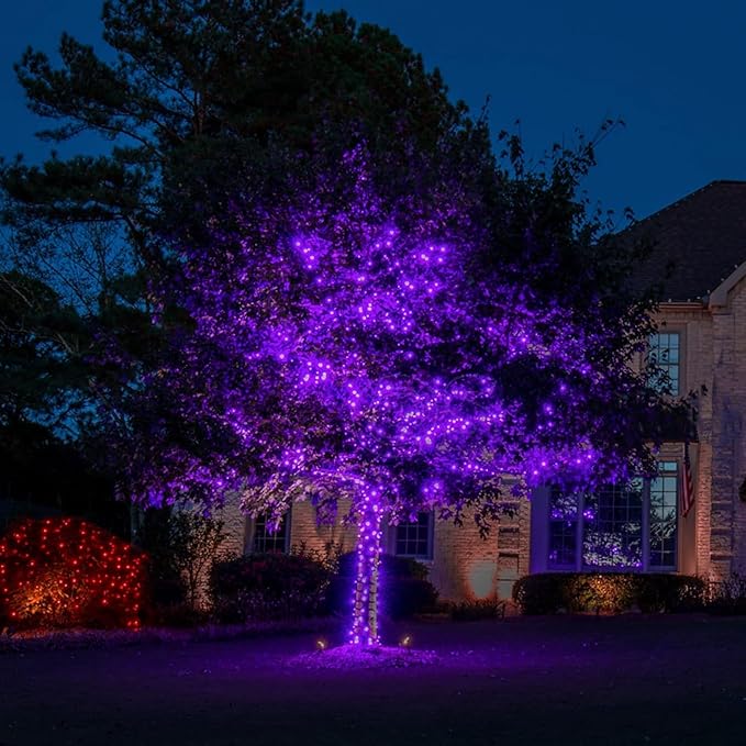 Halloween Decorations Lights, Solar String Outdoor Lights Purple 500LED Solar Outdoor Waterproof 19 Modes Decorations for Fence Balcony Holiday Party