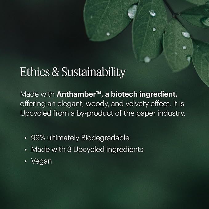 Aera Mini Pear Brulee - Essential Oil for Home - Delightful and Delicious Fragrance - Notes of Vanilla and Hazelnut - Scent Refill - Capsule Size Works with Mini Diffuser