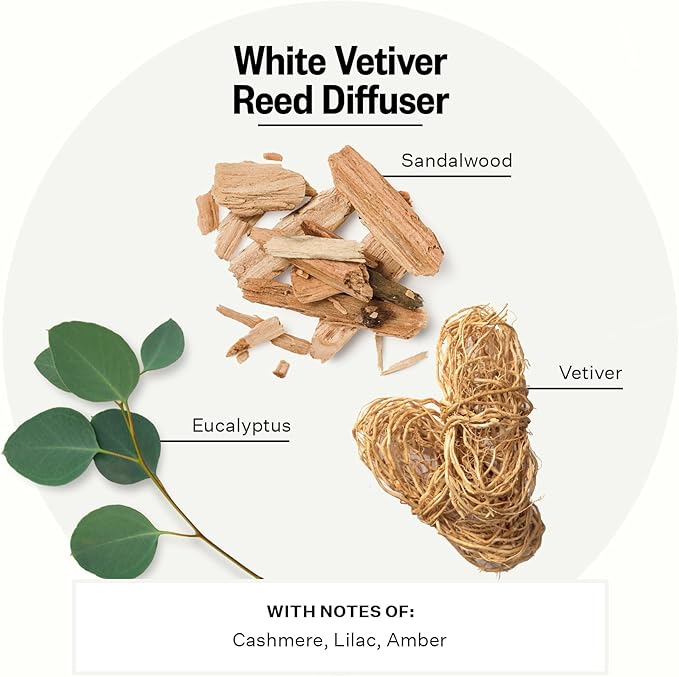 Apotheke Luxury Scented Oil Reed Diffuser for Home (White Vetiver) - Home Fragrance Diffuser Set with Sticks