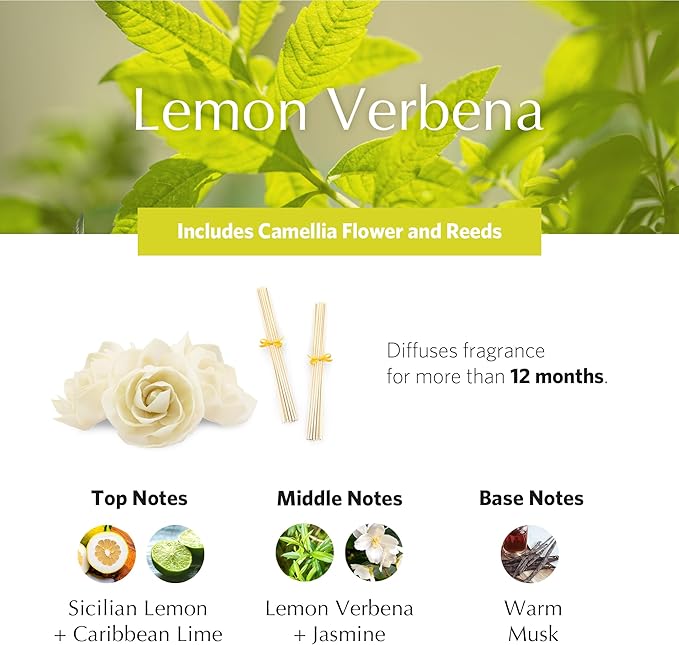 AGRARIA AirEssence Flower and Reed Diffuser Set, Hand Crafted Sola Flower Botanical Home Fragrance Diffuser, Scented Oil Reed Diffuser, Flower and Reed Diffuser Gift Set for All Occasions