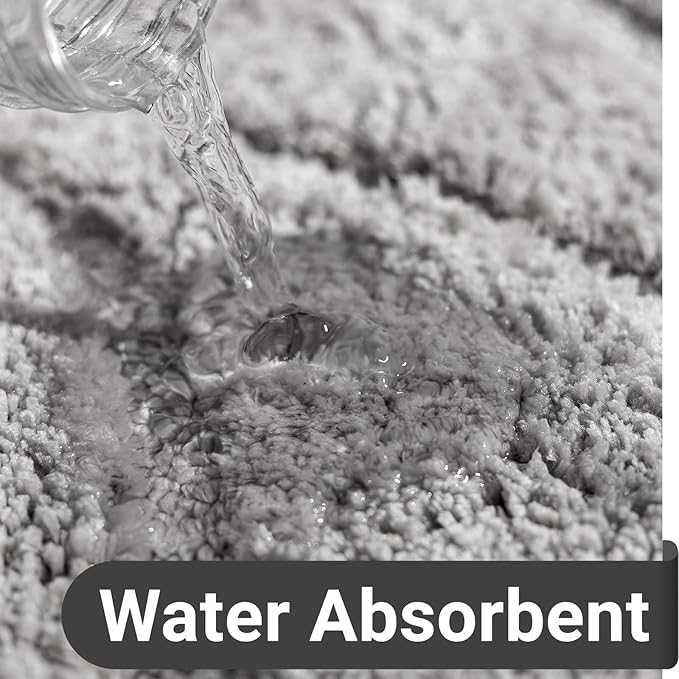 DEXDE Bathroom Rugs Mat,Soft Plush Shaggy Microfiber Bath Rug Non Slip Bath Mats for Bathroom Floor,Machine Washable Absorbent Carpet for Shower Tub,Grey Silver 24"x36"