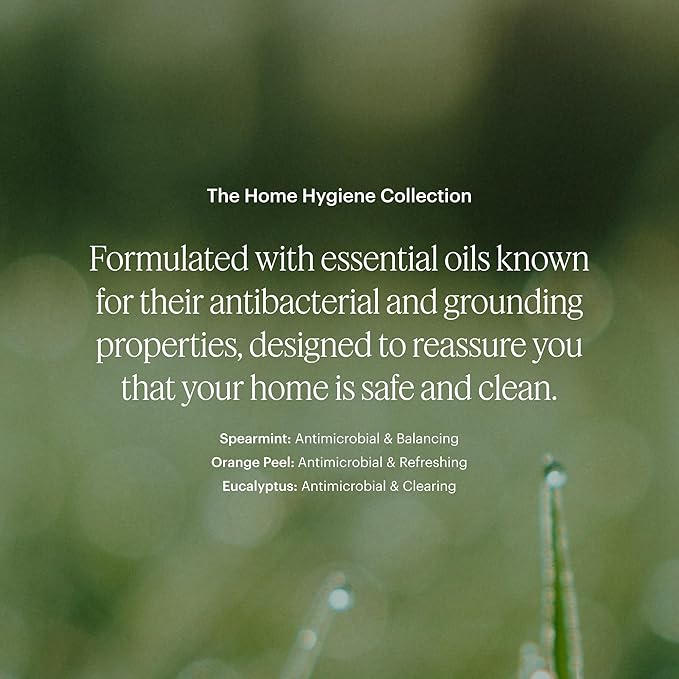 AERA Home Hygiene Mint and Eucalyptus - Essential Oil for Home - Relaxing Fragrance - Notes of Spearmint, Eucalyptus and Orange Peel Essential Oils - Scent Refill - Works with The Diffuser