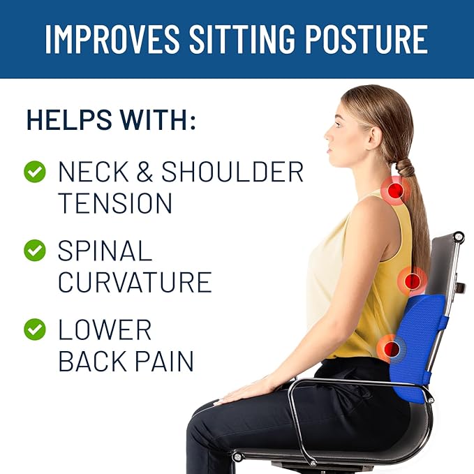 Everlasting Comfort Lumbar Support Pillow for Office Chair - Memory Foam Back Cushion for Chair, Car, Couch - Lumbar Pillow Promotes Better Posture, Back Pain Relief - Ideal for Gaming and Desk Chairs