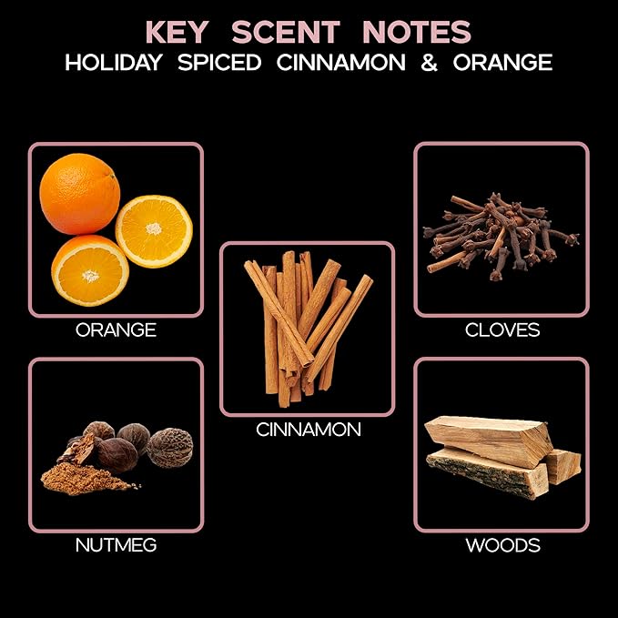 LOVSPA Holiday Spiced Cinnamon & Orange Scented Sticks Reed Diffuser with Mandarin Orange, Cloves and Cinnamon, Continuous Scent Air Freshener, Made in The USA