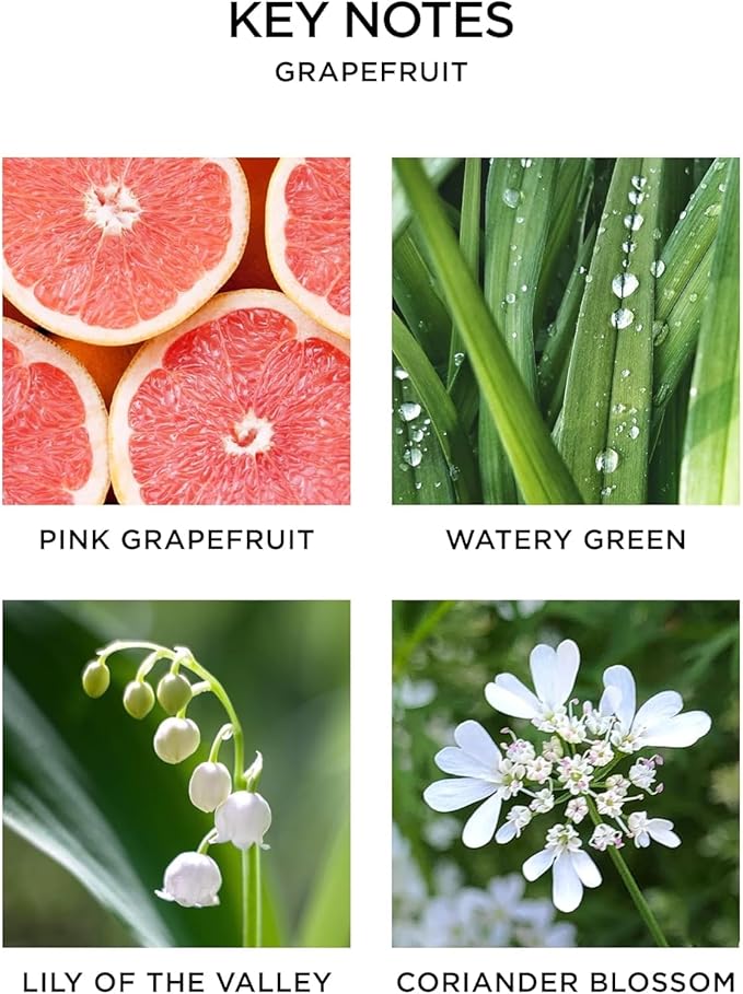 NEST New York Smart Home Fragrance Diffuser Refill Smart Vials, Grapefruit - Set of 2 - Designed for NEST x Pura 3 and NEST x Pura 4 Diffusers - Cruelty Free, Vegan - Made in USA