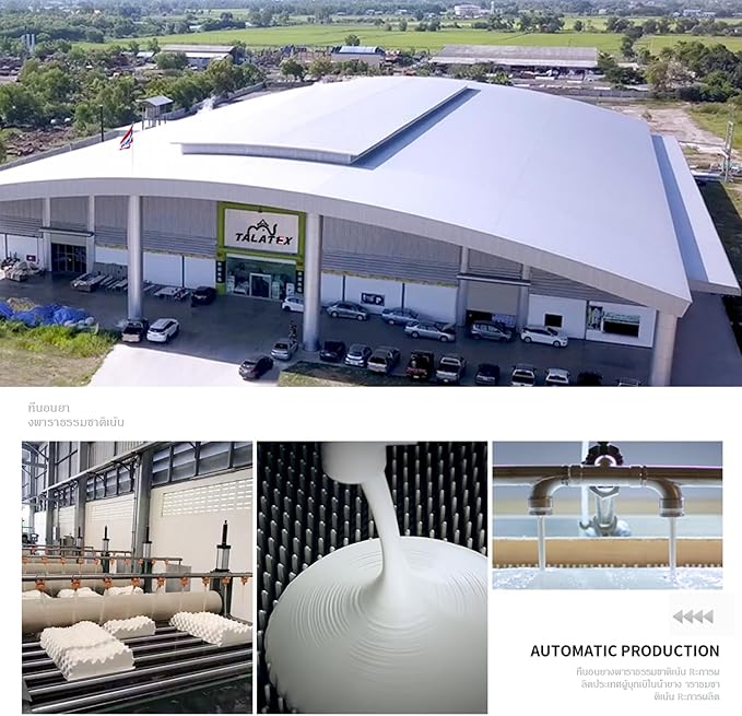 Talatex Talalay 100% Natural Premium Latex Pillow, Helps Relieve Pressure, No Memory Foam Chemicals, Perfect Package Best Gift with Removable Tencel Cover (Medium Firm, King(32.5"×15.7"×5.9"))