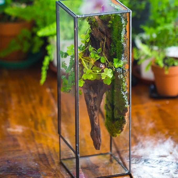 NCYP Closed Glass Terrarium with Door - 3.9x3.9x11.8 Inches Rectangular Tall Planter Box for Fern, Succulent Plants, Home Garden Tabletop Decor, Handmade (Terrarium Only)