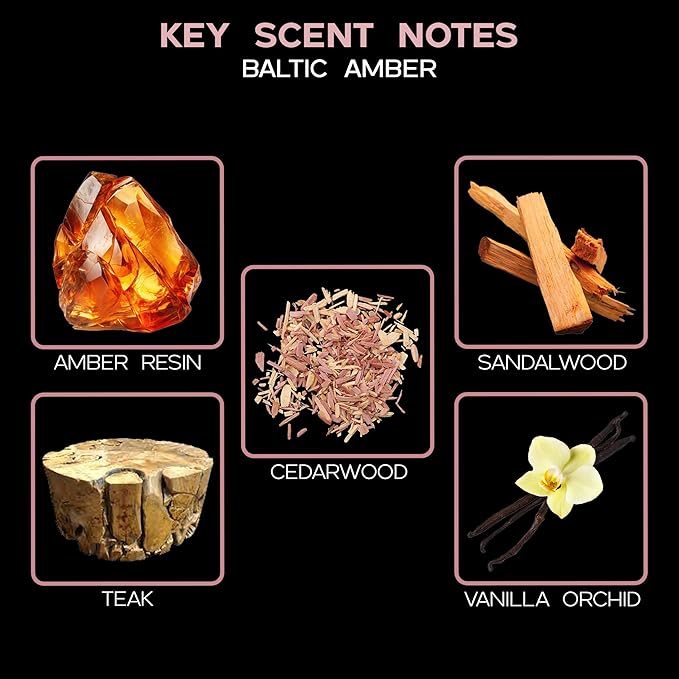 LOVSPA Baltic Amber Reed Diffuser Set - Reed Diffusers for Home with Long Lasting Fragrance - Non-Toxic Oil Reed Diffuser - Made in The USA