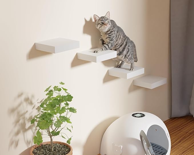 Floating Shelves, Floating Shelves for Wall, with Invisible Bracket, Bathroom Shelves, Bedroom Decor, Floating Shelf, Shelves for Wall Storage, Display Shelf, Set of 2