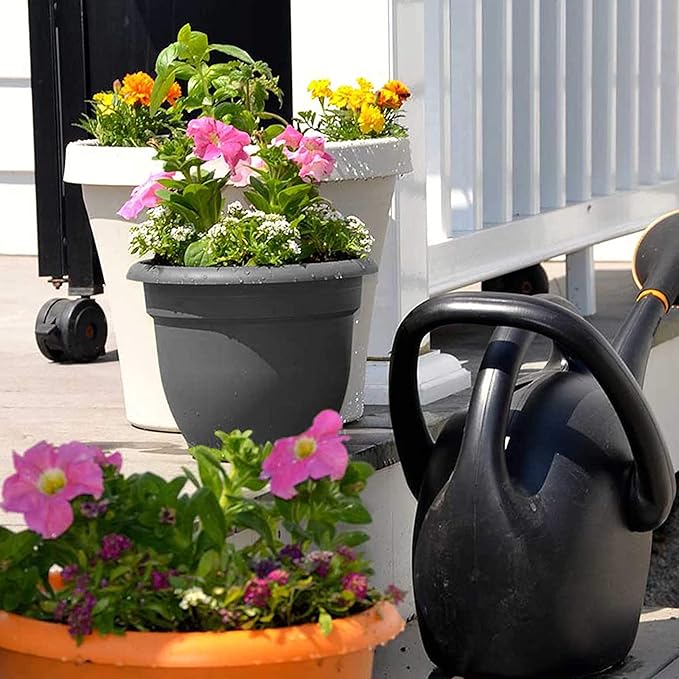 Bloem AP20908 Ariana Self Watering Planter 20", Charcoal Gray