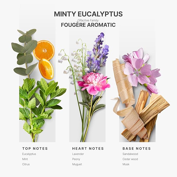 Aromaplan Hotel Scents Minty Eucalyptus 5 Fl Oz (148ml), Home Luxury Aroma & Hotel Fragrance Diffuser Oil- Hotel Diffuser Oil for Aromatherapy- USA Made, Bigger Bottle, Bolder Aroma & Longer Lasting