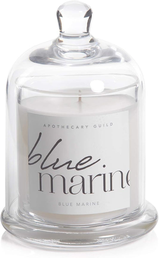 Zodax Blue Marine Apothecary Guild 10 Ounce Scented Jar Candle with Dome