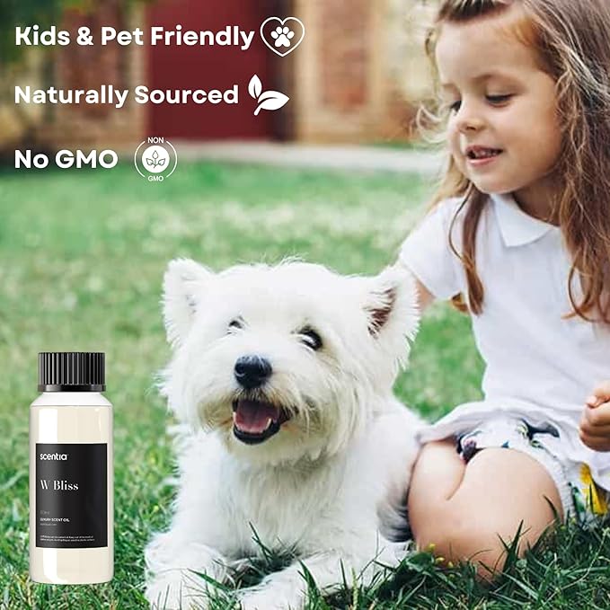 W Magic Hotel Diffuser Oil Inspired by W Signature Hotel - 120 mL 4.06 fl oz - Aromatherapy Fragrance Inspired by 5-Star Hotels | Notes of Bergamot, Lemongrass, Jasmine