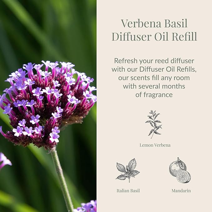 Archipelago Botanicals Verbena Basil Reed Diffuser Oil Refill, Home Fragrance Oil for Diffuser, Long-Lasting Natural Home Fragrance, Diffuser Oil Scents, 7.85 Fl Oz