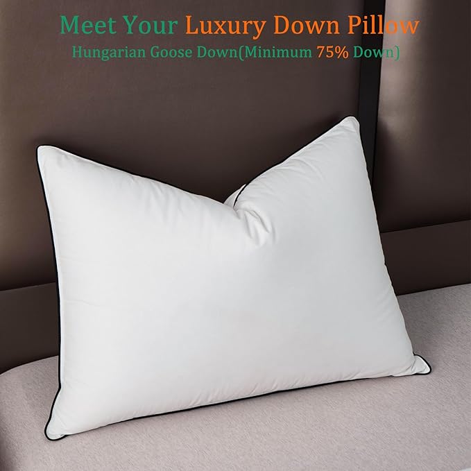 Luxury White Goose Down Pillows Queen Size - 750 Fill Power - 500 Thread Count 100% Cotton Shell - Soft and Support Down Bed Pillow for Back, Side, Stomach Sleepers - Pack of 2 (20 x 28”)