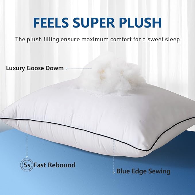 Goose Down Bed Pillow, King Size Bed Pillows for Sleeping, Ultra-Soft 750 Fill-Power Hotel Collection Pillow for Back, Stomach or Side Sleepers (20 * 36,Pack of 1)