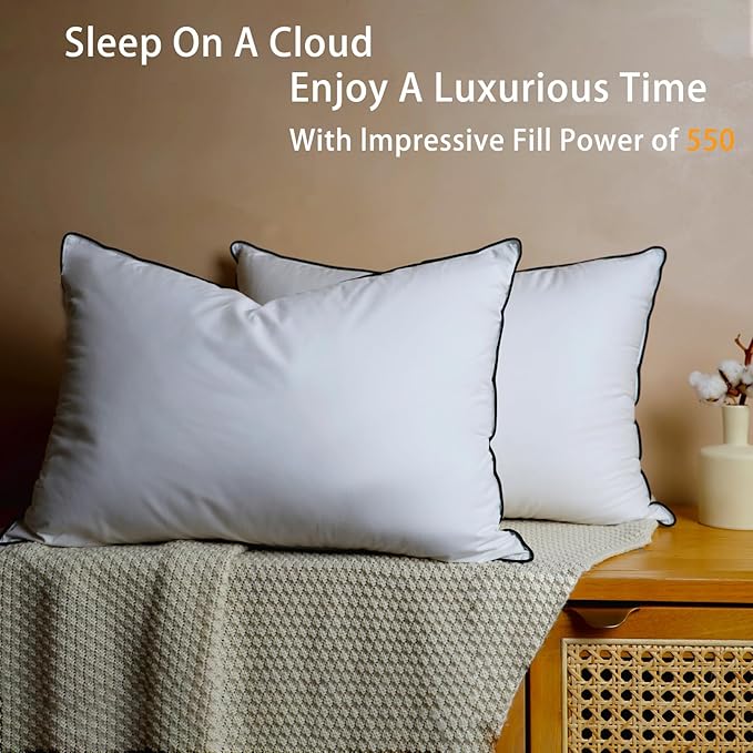 Natural Goose Down Pillows - White Down Pillow Queen Size - 550 Fill Power - Soft and Support Down Bed Pillow for Back,Side,Stomach Sleepers，1 Pack (20" x 28")