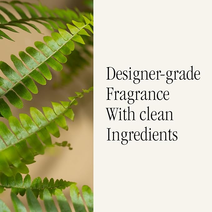 Pura & Brooklyn Candle Studio Home Scent Refill - Smart Home Air Diffuser - Up to 120-Hours of Luxury Fragrance per Vial - Clean & Safe Diffuser Fragrance - 2 Pack, Fern & Moss