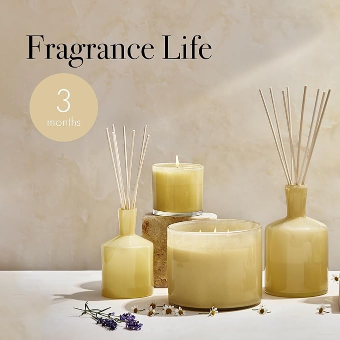 LAFCO New York Classic Reed Diffuser, Chamomile Lavender - 6 oz - Up to 3 Months Fragrance Life - Reusable, Hand Blown Glass Vessel - Natural Wood Reeds - Made in the USA