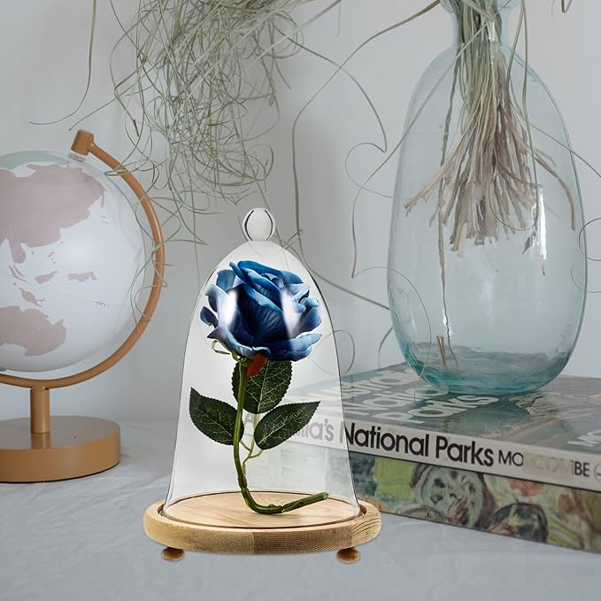 EXCEART Clear Glass Dome Cloche with Rustic Wooden Base Antique Bell Jar Display Dome for Plants Succulents Fairy Lights Photos Medals Decorative Fill and More Light Brown