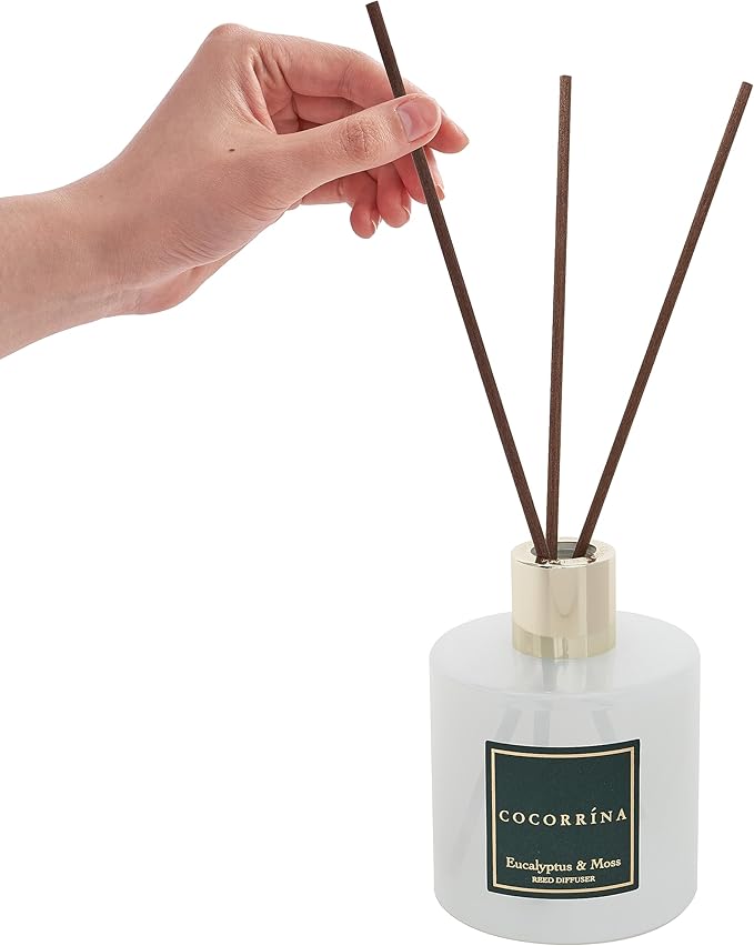 Cocorrína Reed Diffuser Sets- Eucalyptus & Moss Scented Diffuser with Sticks Home Fragrance Reed Diffuser for Bathroom Shelf Decor