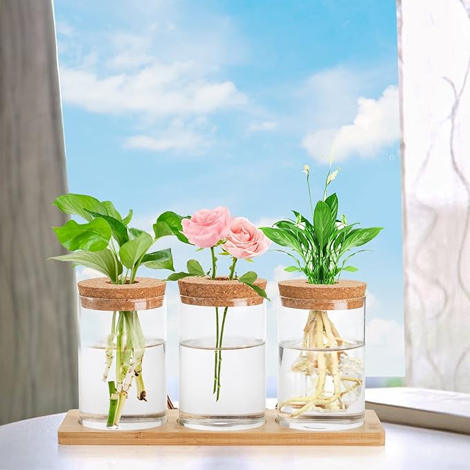 Lawei 3 Pcs Plant Terrarium Propagation Stations, Tabletop Glass Water Planting Glass Vase with Wooden Tray, Clear Jars Containers for Grow Hydroponic Plants Home Office Decoration