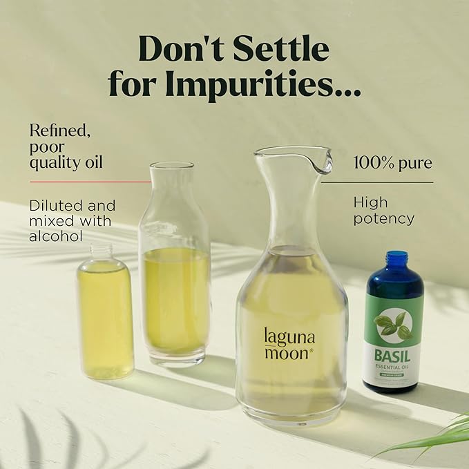 Basil Essential Oil - Pure Essential Oils for Candle Making Scents, Diffusers, Humidifiers, Cars, Yoga, Aromatherapy, Home Care - Fragrance Oils for Botanical Fresheners Making & Candle Scents (150ml)