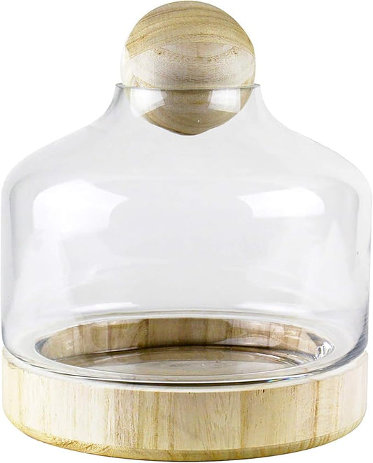 CYS EXCEL Glass Terrarium Container (H:11" W:9") | Multiple Size Choices Planter Jars with Wood Base & Lid | Plant Terrarium Bowl Vase