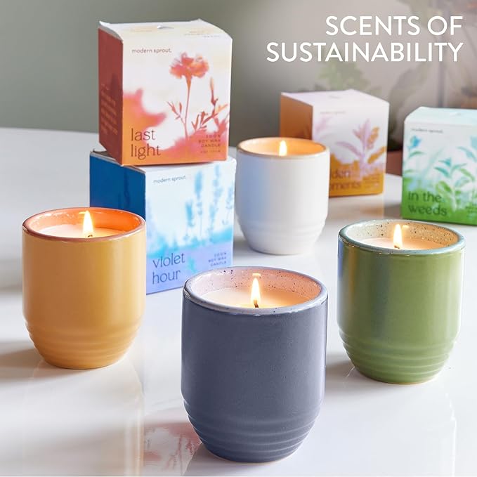 Modern Sprout Garden Vibes 2-in-1 Soy Candle & Planter - 3-Pack Indoor Set (Violet Hour, in The Weeds, Golden Moments) 6 Oz Scented Candles with Lavender, Sage & Mint Seeds – 38–40 Hr Burn Each