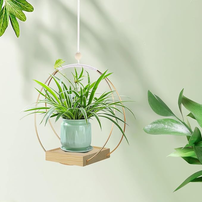Hanging Planter for Indoor Plants, Plant Hanger with Sturdy Wood Base,Modern Boho Macrame Plant Hanger,Wall Ceiling Window Stands(Plants/Pots Not Included)