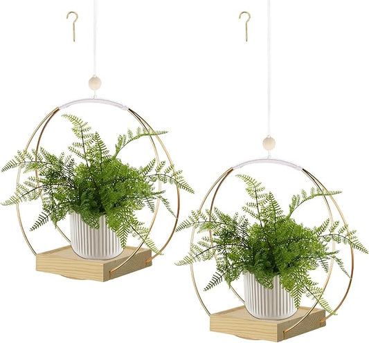 Hanging Planter for Indoor Plants, Plant Hanger with Sturdy Wood Base,Modern Boho Macrame Plant Hanger,Wall Ceiling Window Stands(Plants/Pots Not Included)