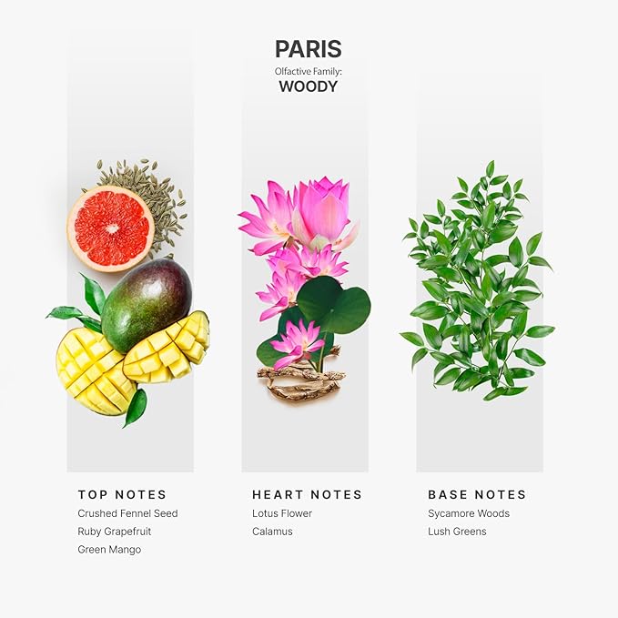 Aromaplan Hotel Scents Paris 5 Fl Oz (148ml), Home Luxury Aroma & Hotel Fragrance Diffuser Oil- Hotel Diffuser Oil for Aromatherapy- USA Made, Bigger Bottle, Bolder Aroma & Longer Lasting