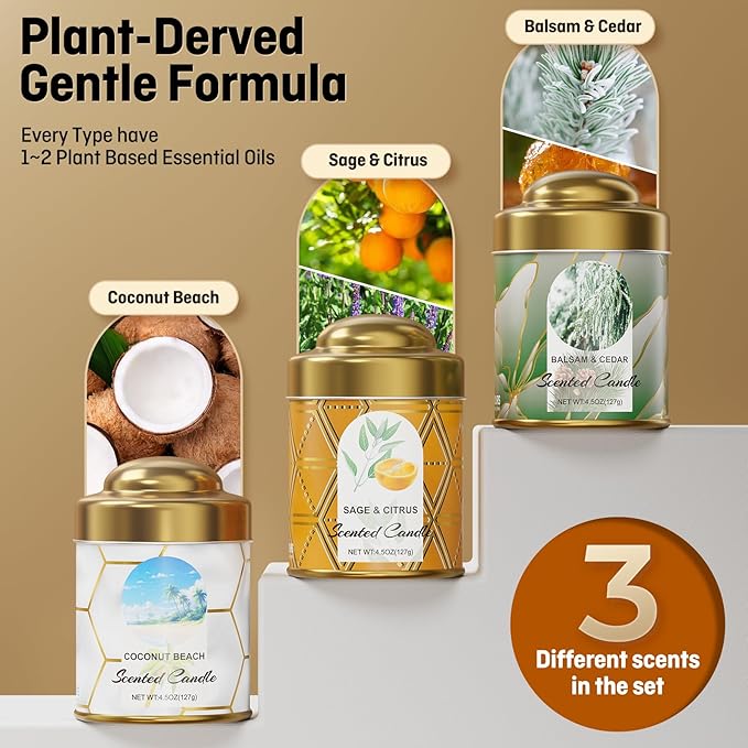 3-Pack Aromatherapy Candle Set - Balsam & Cedar, Sage & Citrus, Coconut & Beach Scented Candles 4.5oz Each | 25+ Hour Relaxing Long-Lasting Burn | Natural Soy Candles for Home, Gifts & Christmas
