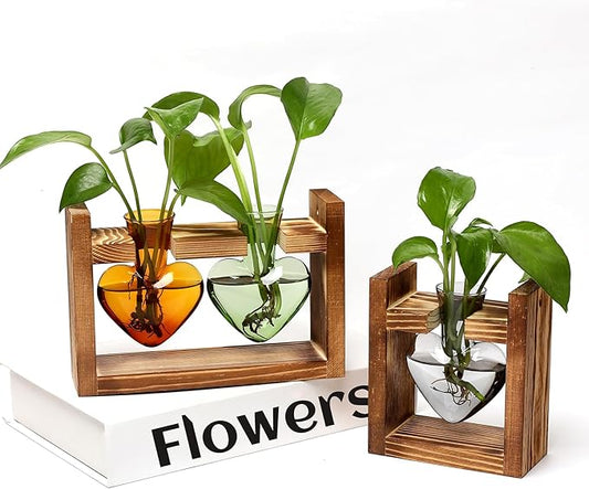 2+1 Plant Terrarium Plant Propagation Station Birthday Gifts for Women Plant Lovers Home Office Decor with Wooden Stand