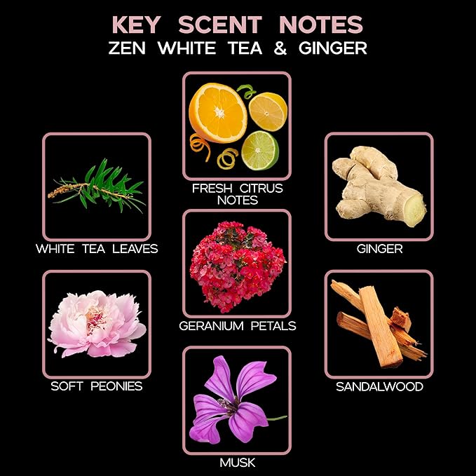 LOVSPA Zen White Tea & Ginger Reed Diffuser Set - Citrus, Geranium & Sandalwood Scent Diffuser - Non-Toxic Oil Reed Diffuser - Made in The USA