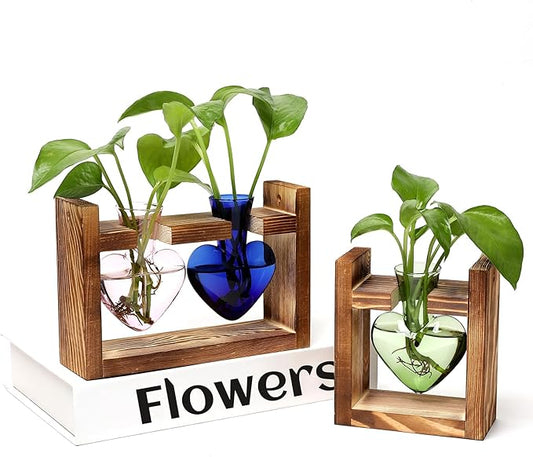 2+1 Plant Terrarium Plant Propagation Station Birthday Gifts for Women Plant Lovers Home Office Decor with Wooden Stand