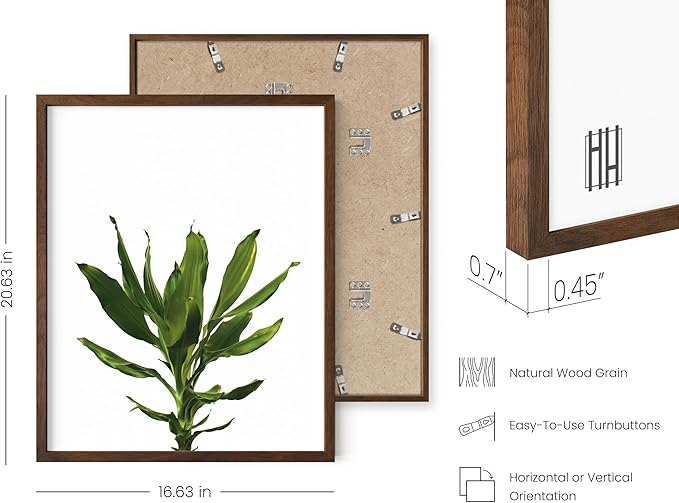 HAUS AND HUES Plant Photo Set of 4-16x20 Framed Walnut