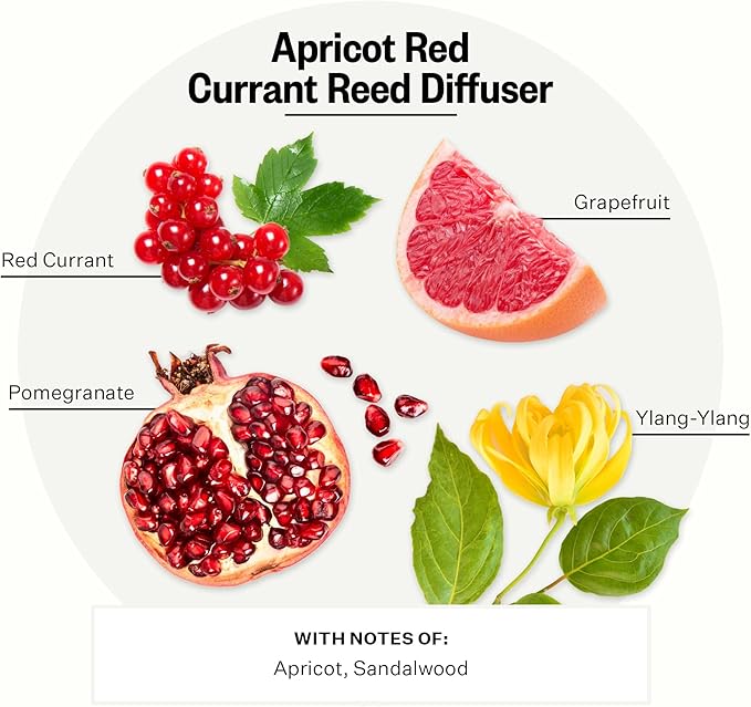 Apotheke Luxury Scented Oil Reed Diffuser for Home (Apricot Red Currant) - Home Fragrance Diffuser Set with Sticks