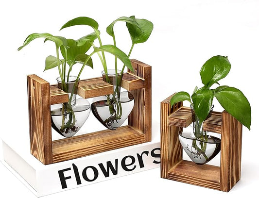 2+1 Plant Terrarium Plant Propagation Station Birthday Gifts for Women Plant Lovers Home Office Decor with Wooden Stand