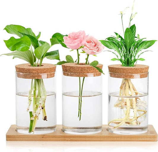 Lawei 3 Pcs Plant Terrarium Propagation Stations, Tabletop Glass Water Planting Glass Vase with Wooden Tray, Clear Jars Containers for Grow Hydroponic Plants Home Office Decoration