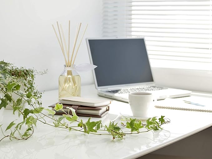 LOVSPA Coconut & Eucalyptus Reed Diffuser Set - Reed Diffusers for Home with Long Lasting Fragrance - Non-Toxic Oil Reed Diffuser - Made in The USA