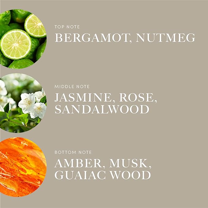 Aroma360 | Disney | Sassy Petals Fragrance Oil Blend | Daisy Duck | Luxury Aromatherapy Scent Diffuser Oil | Bergamot, Rose and Amber 16.9 fl oz, 500 mL