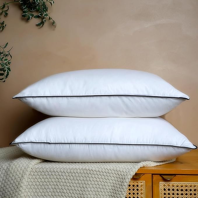 Natural Goose Down Pillows - White Down Pillow Queen Size - 550 Fill Power - Soft and Support Down Bed Pillow for Back,Side,Stomach Sleepers，1 Pack (20" x 28")