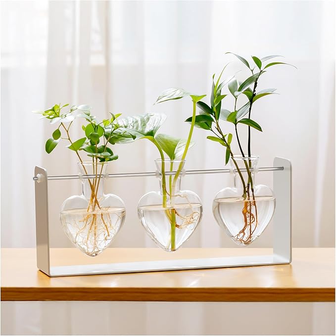 Rossny Metal Plant Propagation Station with 3 Clear Glass Vases - Desktop Plant Terrariums for Herbs, Ideal for Modern Home Office Garden Planter Decor, Gift for Plant Lovers, White