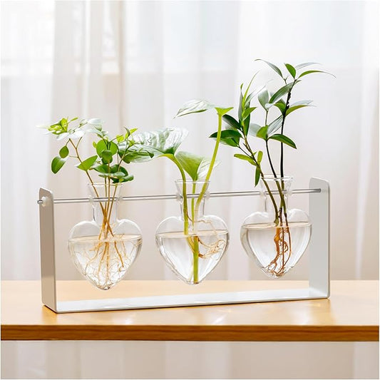 Rossny Metal Plant Propagation Station with 3 Clear Glass Vases - Desktop Plant Terrariums for Herbs, Ideal for Modern Home Office Garden Planter Decor, Gift for Plant Lovers, White