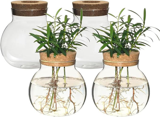 Plant Propagation Station,Hydroponic Terrarium Vase,Desktop Glass Planter Station,for Houses,Garden Decorations,ropagating Hydroponic Plants,Centerpiece Office,Home Garden Decor (4)