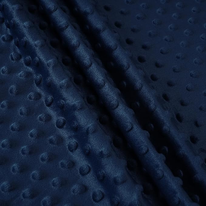 Minky Baby Blanket for Boys, 40x50 Inches Soft Lightweight Micro Fleece Baby Blanket with Double Layer, Dotted Backing, Breathable Receiving Blanket for Newborns, Dinosaur