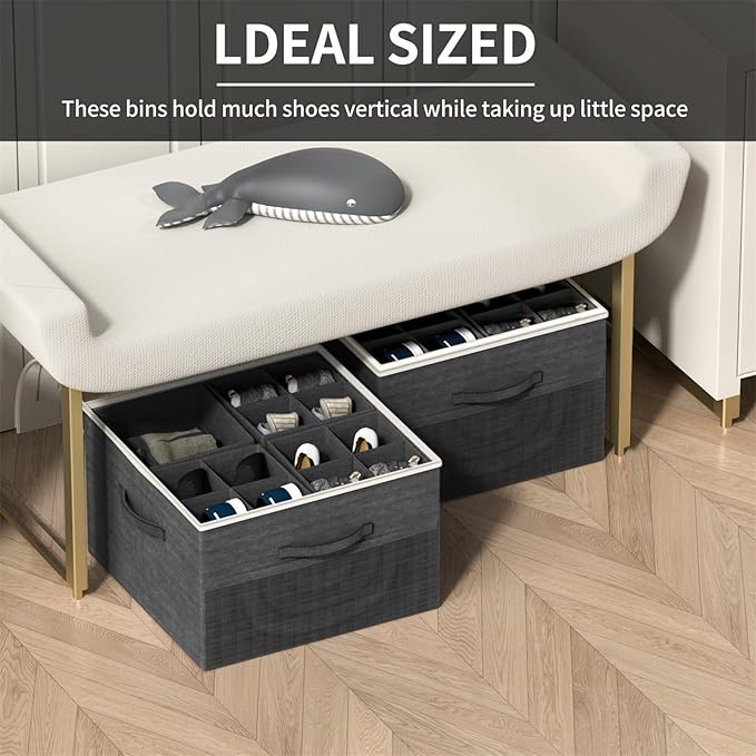 Aokeyee Shoe Organizer for Closet,2 Pack Foldable Shoe Storage Organizer Box Bin with Adjustable Dividers and Clear Cover, Fits up to 16-32 Pairs, (Black)