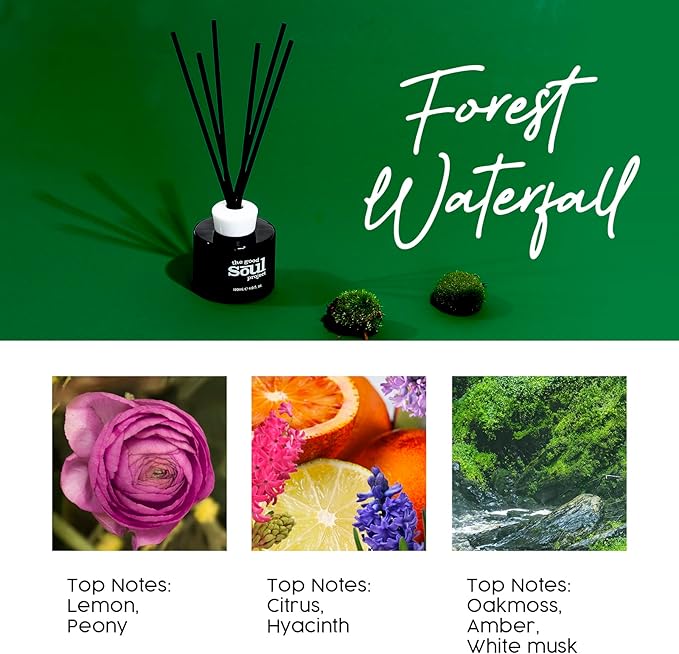 Reed Diffuser Set, 4.0 Oz(120 ml) Fresh Scented Diffuser with 6 Sticks, Home Fragance Oil Diffuser for Bathroom, Decorative Air Freshener